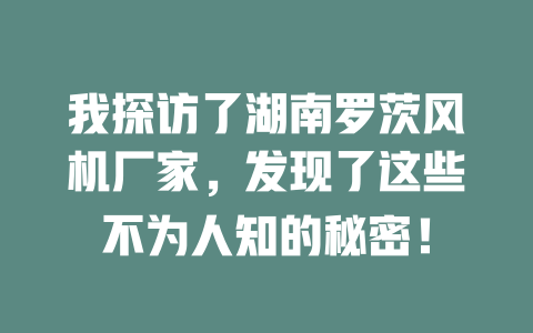 我探訪了湖南羅茨風(fēng)機(jī)廠家，發(fā)現(xiàn)了這些不為人知的秘密！ 一